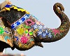 слоник на Шри Ланке